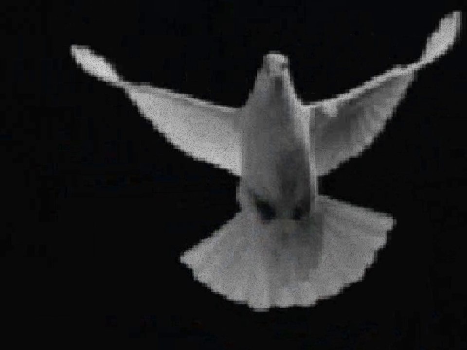 Séance - The Dove