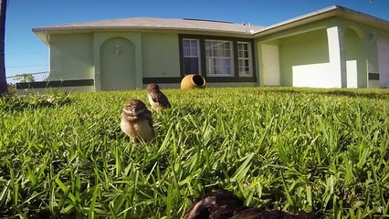 September Win Compilation 2015    MW