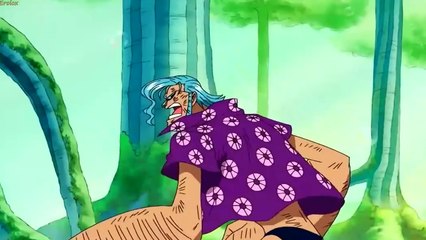 One Piece  - Pirate King