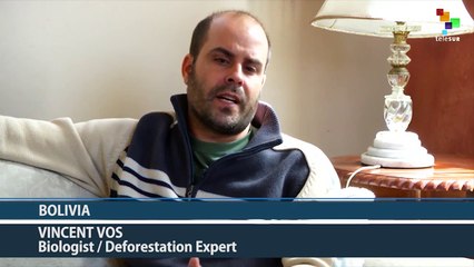 Bolivia: Jungle Deforestation