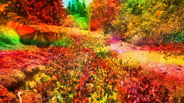 Oliver Dragojević - Gdje to piše