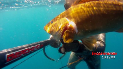 chasse sous marine, badeche a la coulée