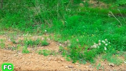 Ultimate WIN Compilation of August 2015 ★ People Are Awesome 2015 ★ FailCity