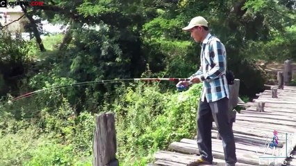 Bắt cá piranha và nướng ăn ngay tại chỗ   The way to cook piranha of natives