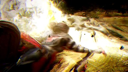 Black Desert Online - Valkyrie éveillée