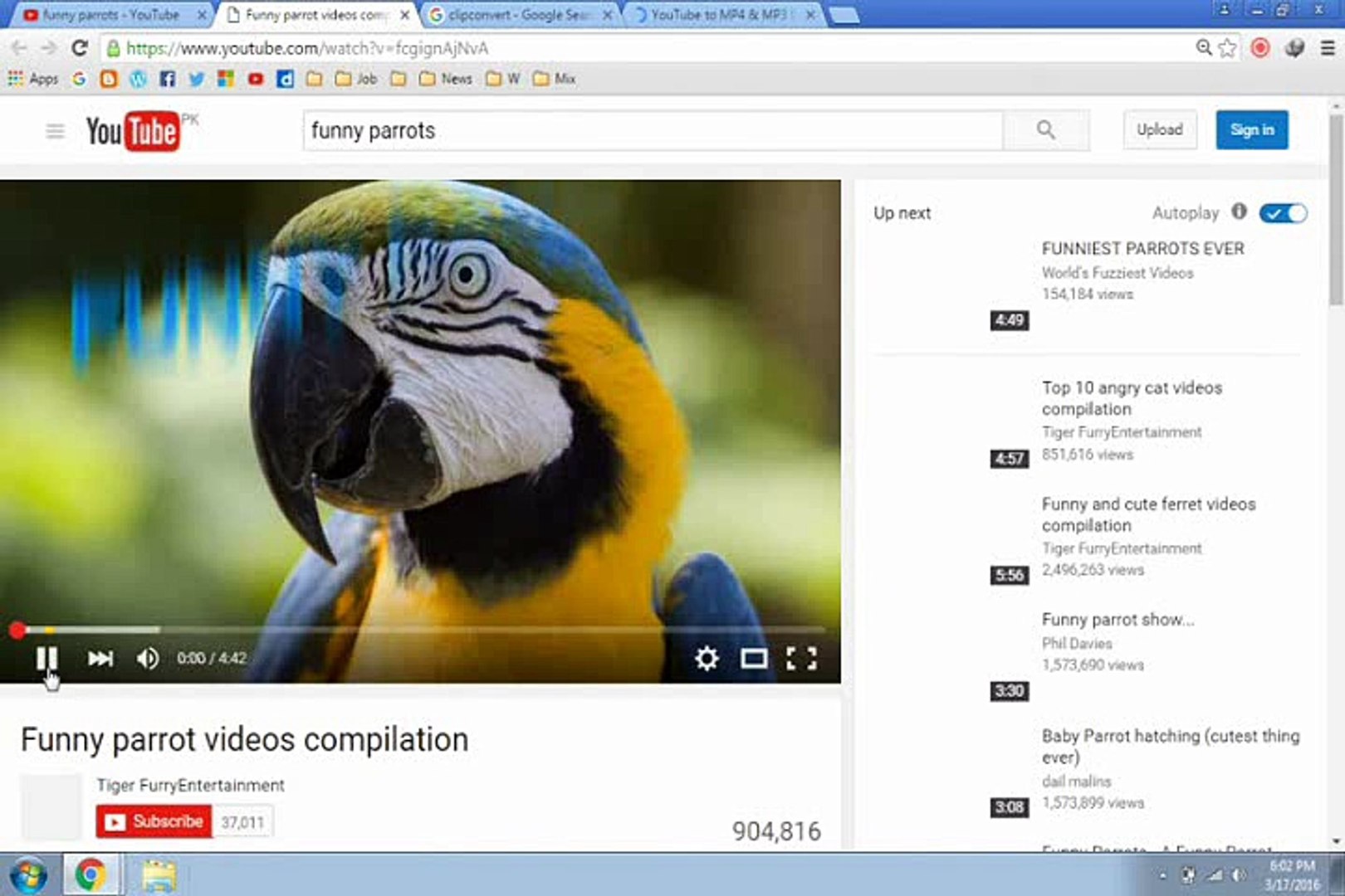 How To Download Yotube Videos In A Few Sec
