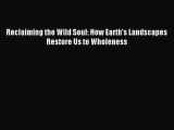 Read Reclaiming the Wild Soul: How Earth's Landscapes Restore Us to Wholeness PDF Free