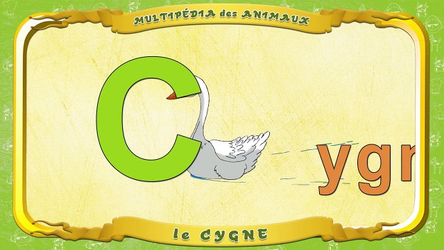 Multipédia des animaux. La lettre C Cygne