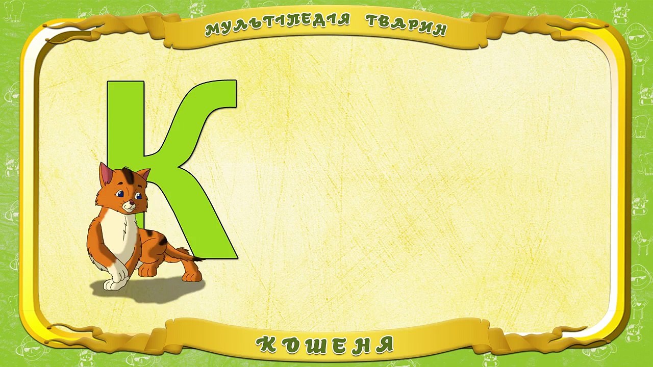 Мультіпедія тварин. Літера К Кошеня