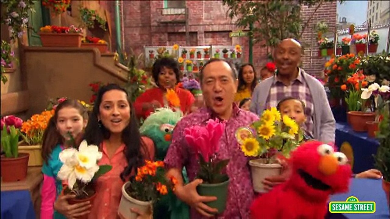 Sesame Street The Flower Show Dailymotion Video
