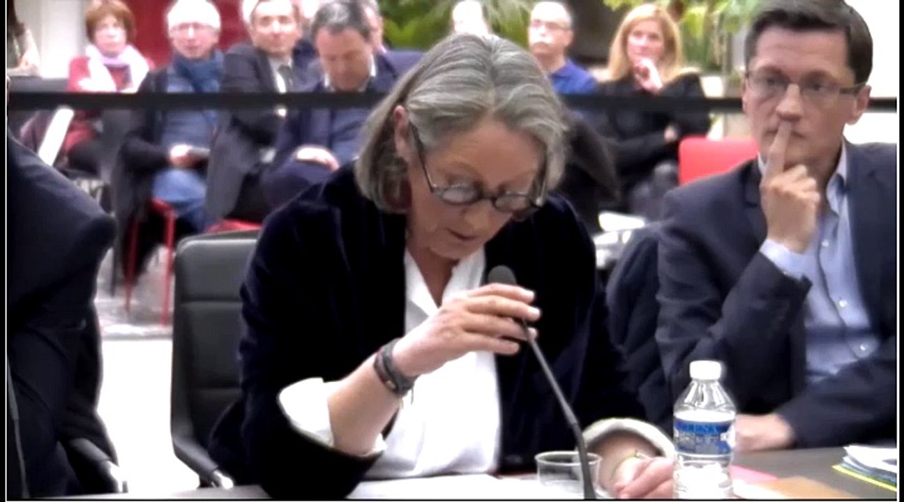 Conseil municipal Rapport sur la situation en matière d'égalité entre les femmes et les hommes