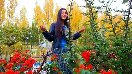 Seyran DELAL Min Yarikir