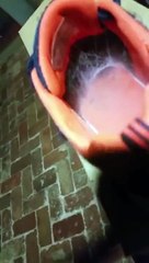 Il fait une découverte effrayante dans les basket de son fils