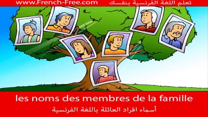 les noms des membres de la famille en français - تعلم اللغة الفرنسية (العائلة)