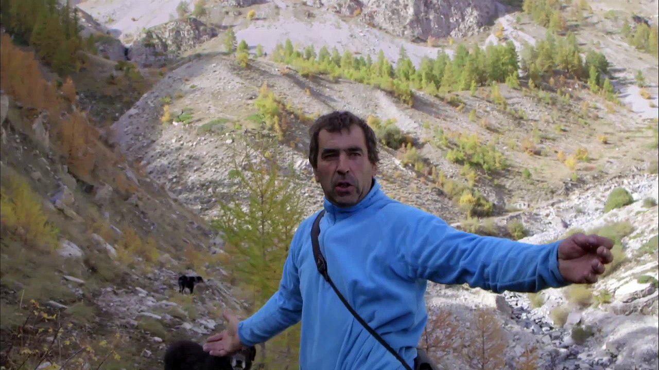 LA GUEULE DU LOUP - Bande-annonce VF