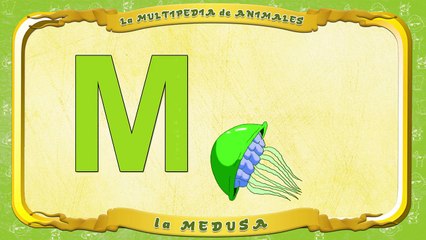 la Multipedia de animales. Letra M la Medusa