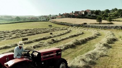 VOLTA A TERRA - Bande-annonce VO