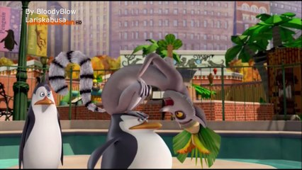 Penguins funny moments (crack!vid) 2 season