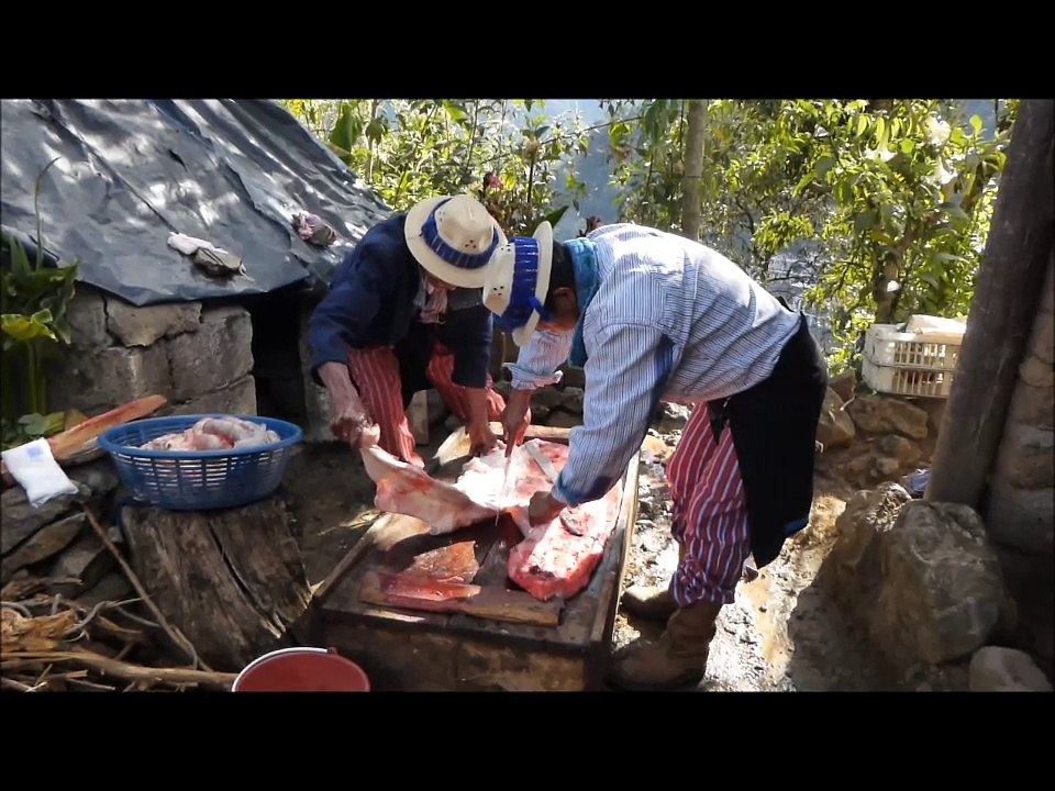 Cochon TS