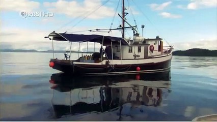 Habitat of the Orca Killer Whales & Sea Creatures 73