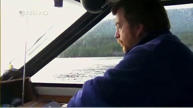 Habitat of the Orca Killer Whales & Sea Creatures 81