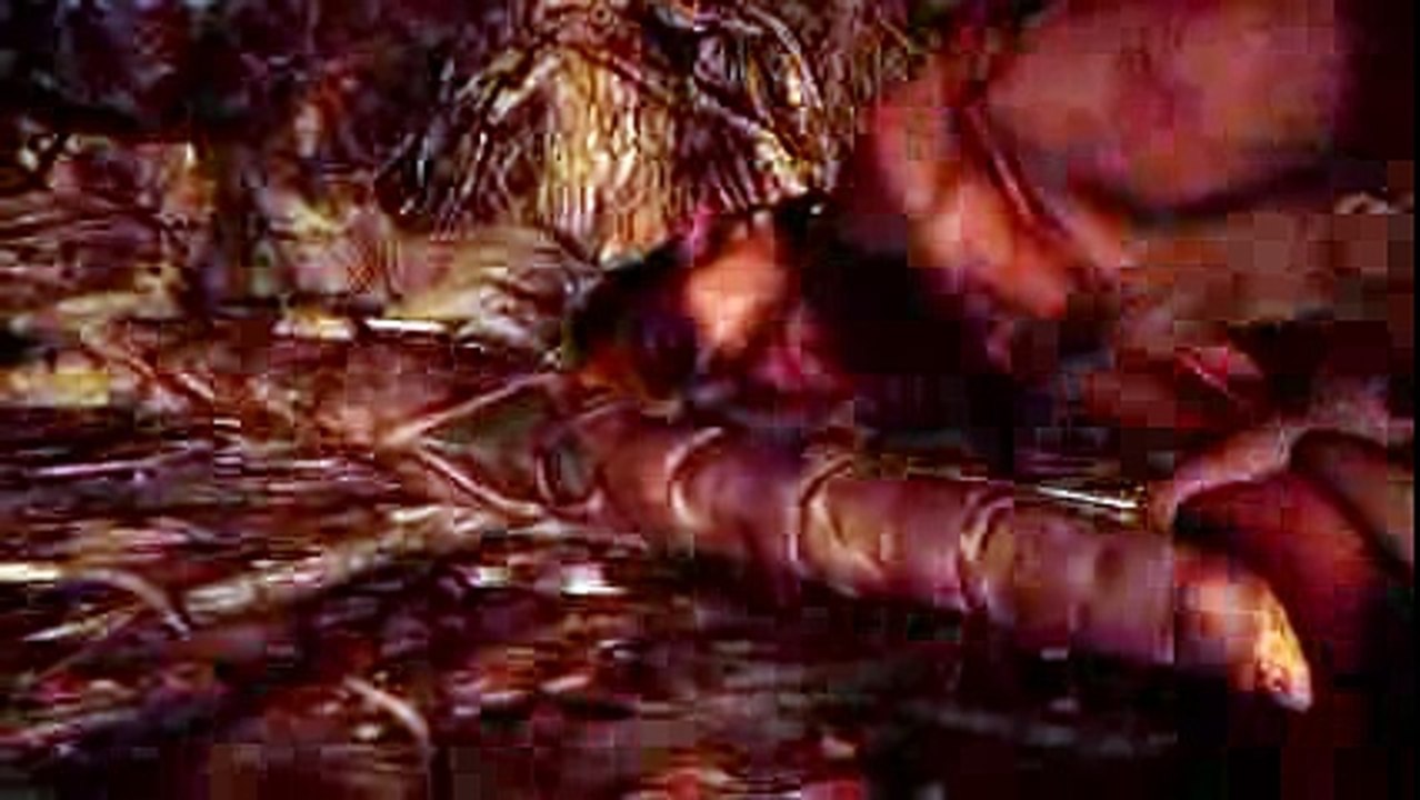 Far Cry Primal Official Trailer