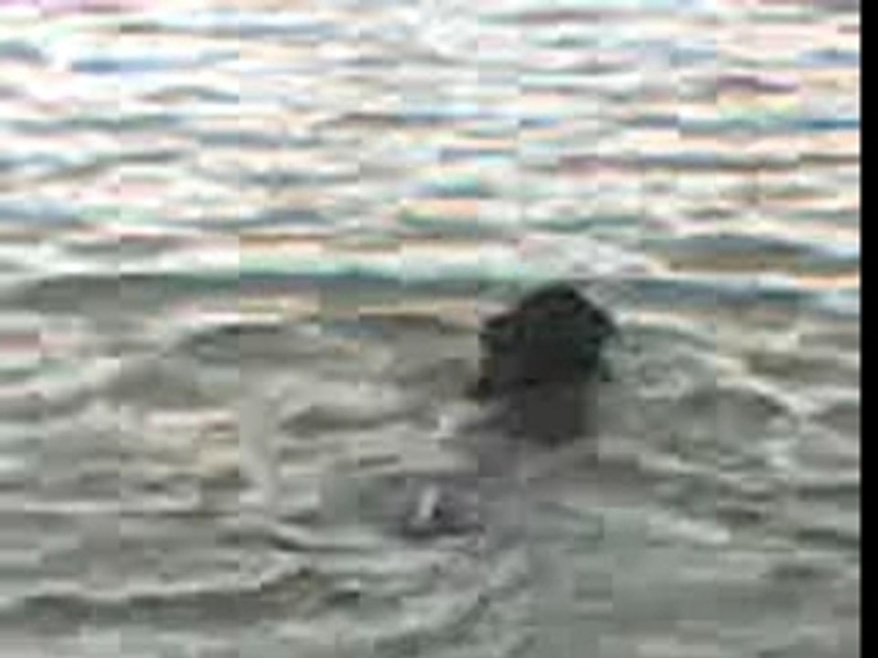 ATTILA a l'eau 3