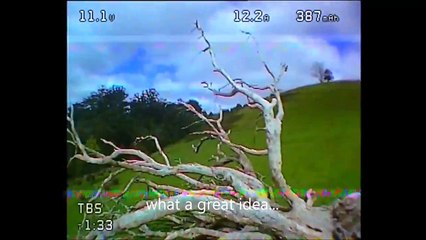 Blackout H quad fun + Hard Crash