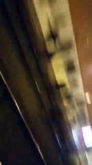 Voyageurs en gare de Monaco sur les rails