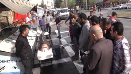 Şanlıurfa'da "Köpekbalığı" Şaşkınlığı