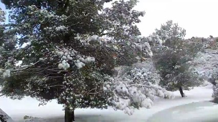 View fictional snowfall