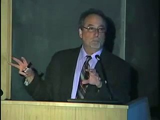 The Biology of Depression The Affects of Stress 28