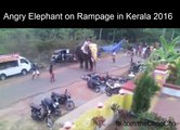 Angry Elephant on Rampage in Kerala 2016