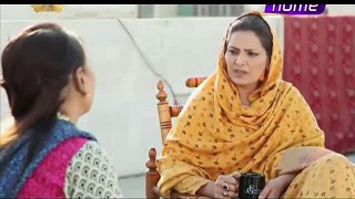 Wajood-e-Zan Episode 69 on Ptv Home