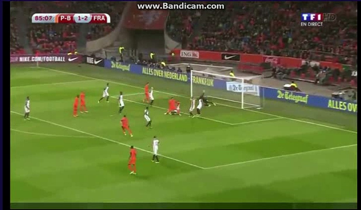 Afellay goal Netherlands vs France 2-2