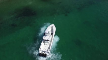 Fortress Anchors are Stronger, Faster and Lighter