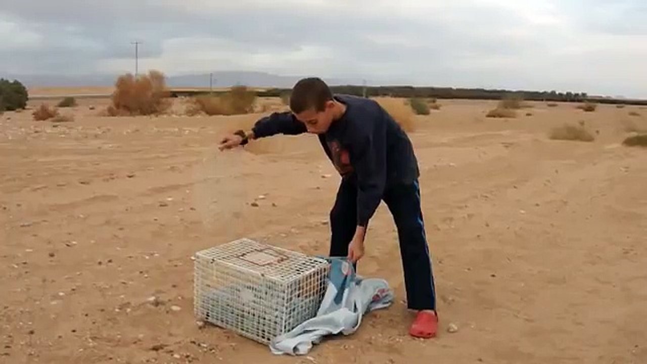 Sente Dei Rumori Provenire Dalle Sabbie Mobili… Guardate Cosa Ha Scoperto!!!