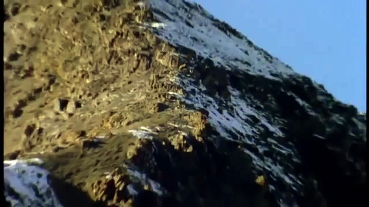 Hunting For The SNOW LEOPARD 6