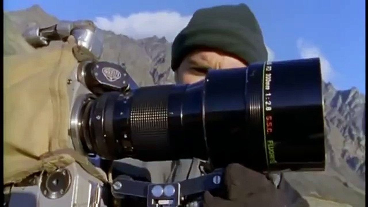 Hunting For The SNOW LEOPARD 18