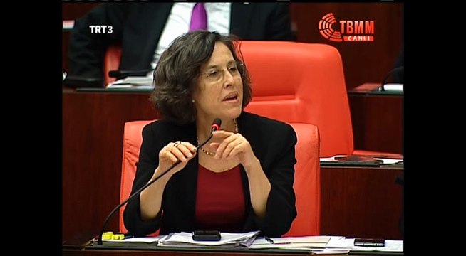 Filiz Kerestecioglu Demir Meclis baskani vekiline yaptigi o Hakli ELESTIRI