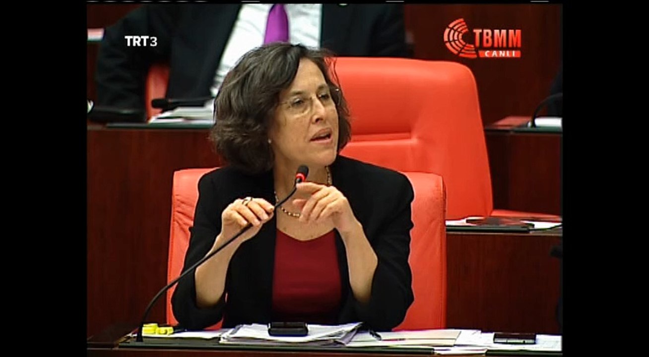 Filiz Kerestecioglu Demir Meclis baskani vekiline yaptigi o Hakli ELESTIRI