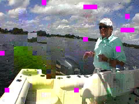 Sailfish 2360 CC - Fishing