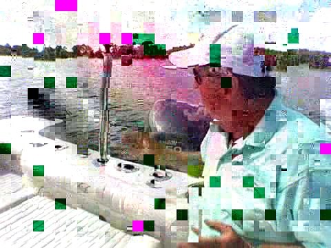 Sailfish 2360 CC - Watersports