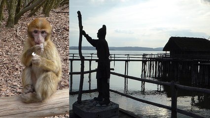 Vom Affenberg Salem zu den Pfahlbauten in Unteruhldingen