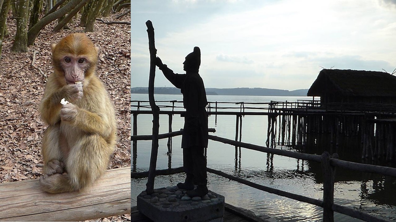 Vom Affenberg Salem zu den Pfahlbauten in Unteruhldingen