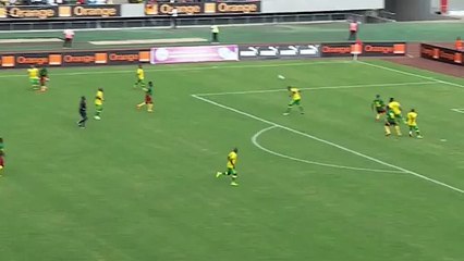 Sebastien Bassong Amazing Goal - Cameroon 1-1 South Africa 26.03.2016
