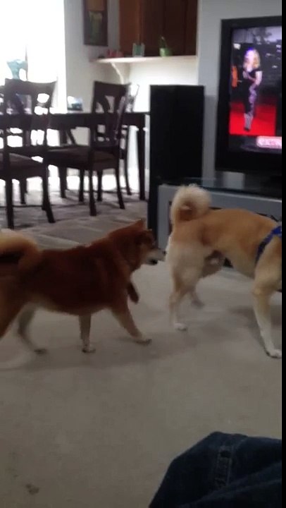 Fast Friends