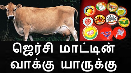 ஜெர்சி மாட்டின் வாக்கு யாருக்கு | For Whom Jersey Cow is Going to Vote