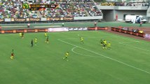 Cameroon vs South Africa Amazing goal   1-1 26.03.2016