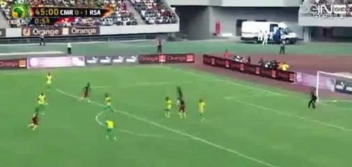 Cameroon vs South Africa 1-1 Sebastian Amazing Goal 26-03-2016